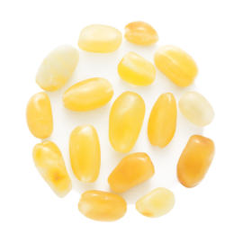 Beans Milk Beads, size 4-10 mm, pack of 10 grams